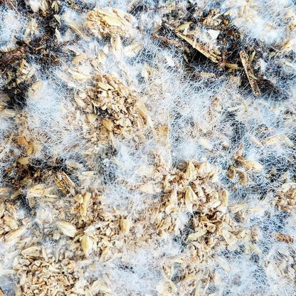 BierKashi Bokashi 5 to 50 lbs (Free Shipping)