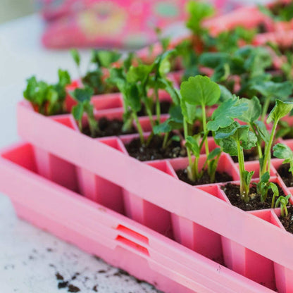 Air Prune Heavy Duty Propagation Tray - 72 Cell - Midwest Grow LLC