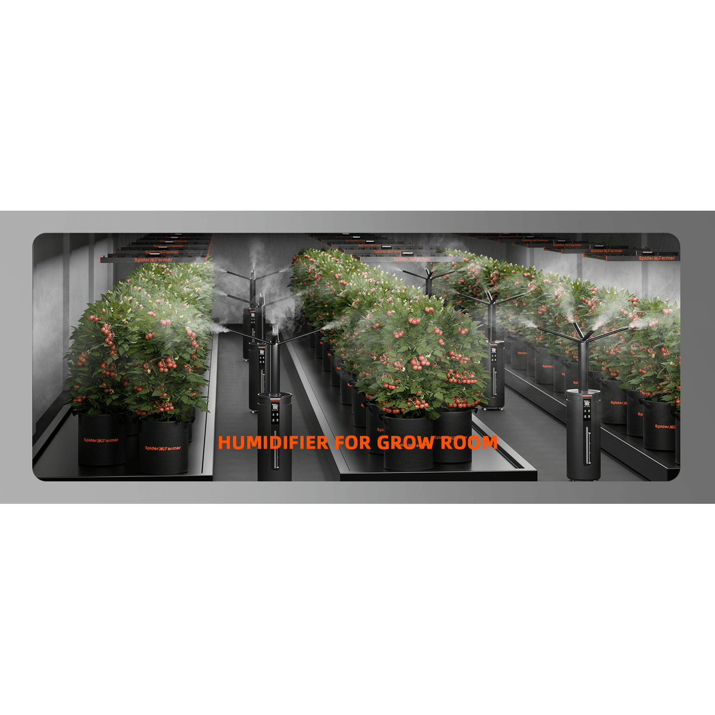 Spider Farmer Cool Mist Humidifier 16L - Midwest Grow LLC