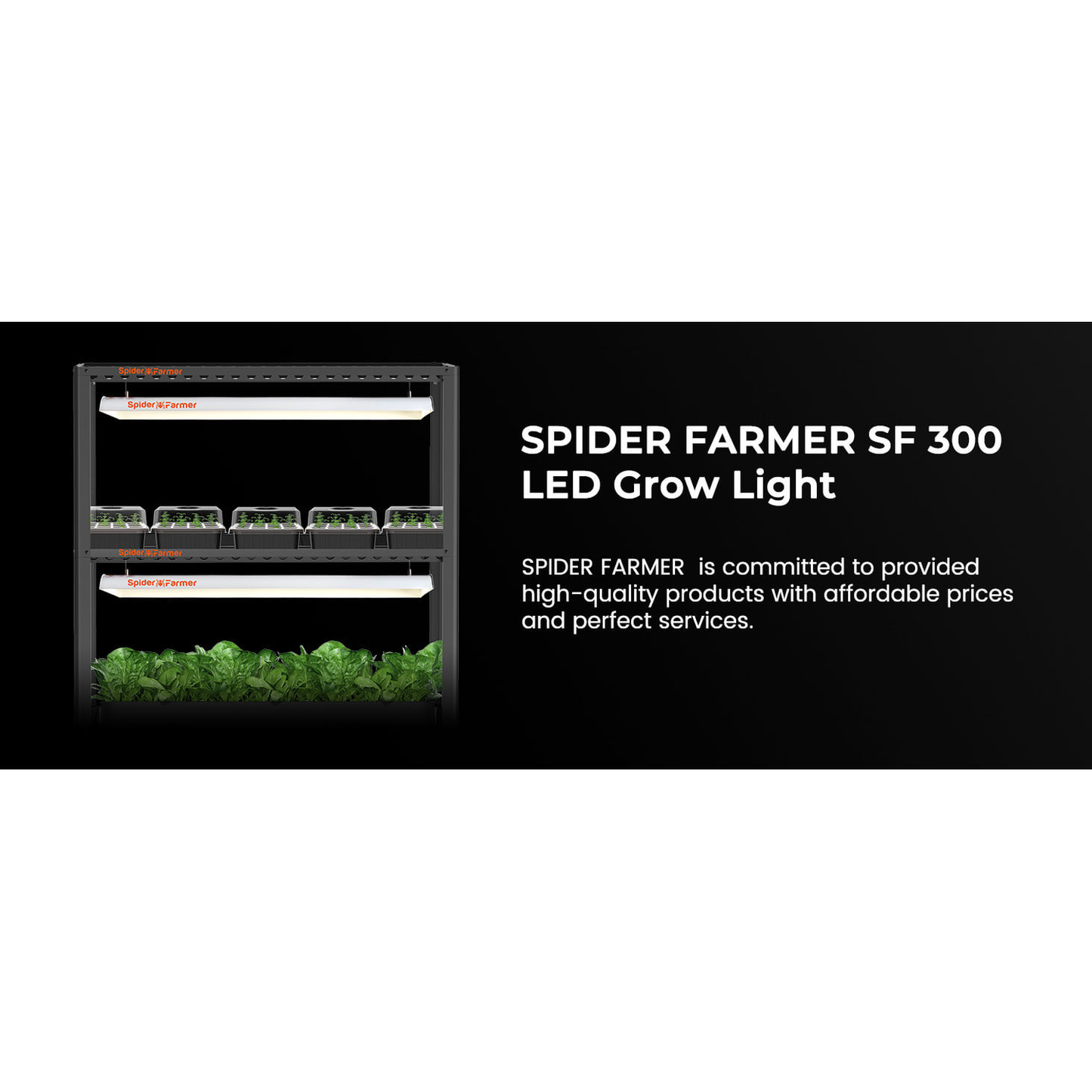 Spider Farmer SF300 33W LED Veg Grow Light - Midwest Grow LLC