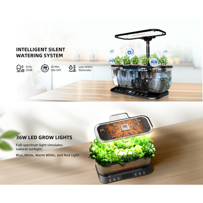 Spider Farmer Hydroponics Growing System - Midwest Grow LLC