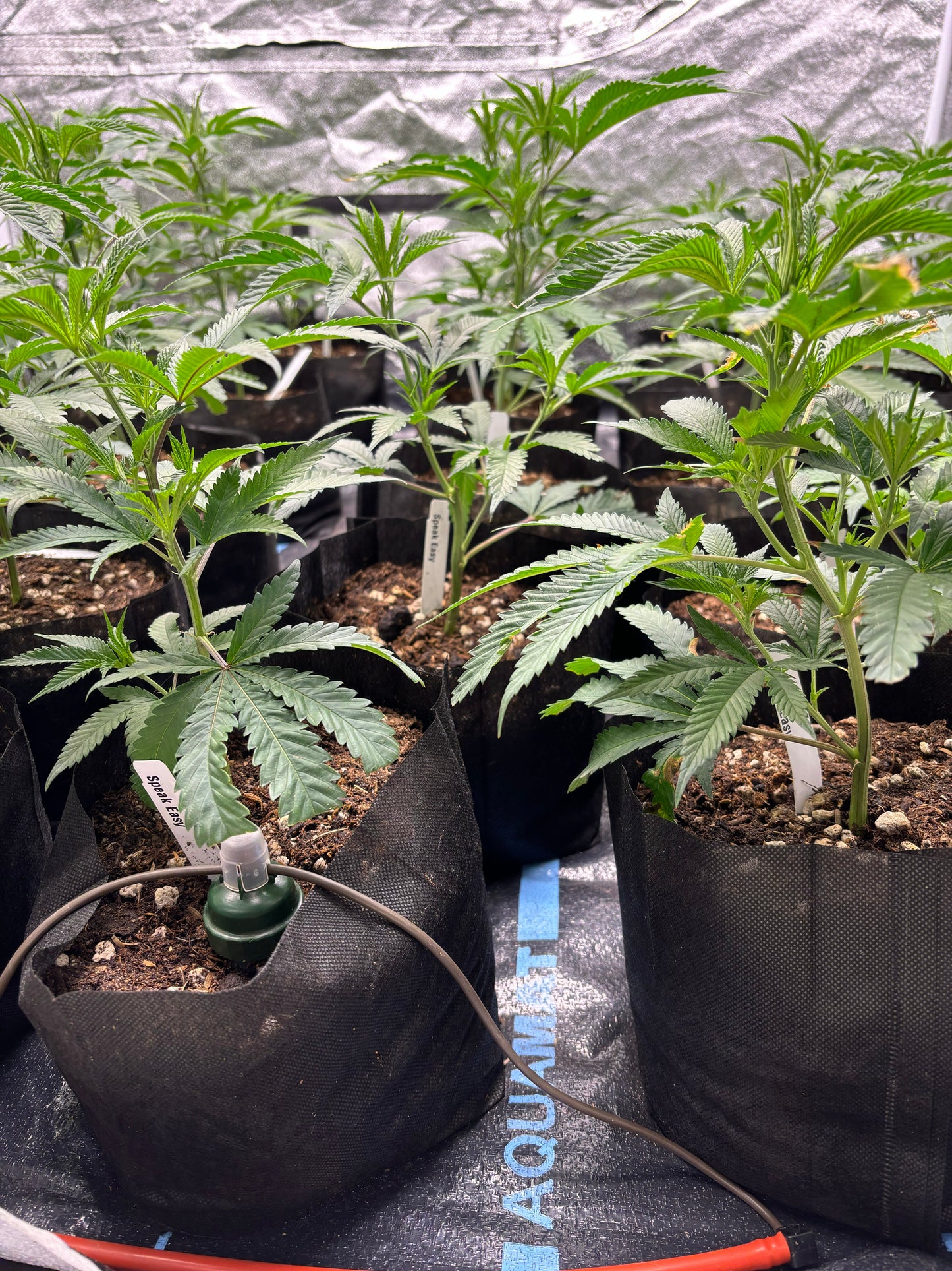 AquaMat Capillary Mat Systems - Midwest Grow LLC