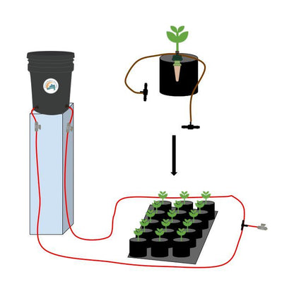 Preset Blumat Grow Tent Irrigation Kit - Midwest Grow LLC