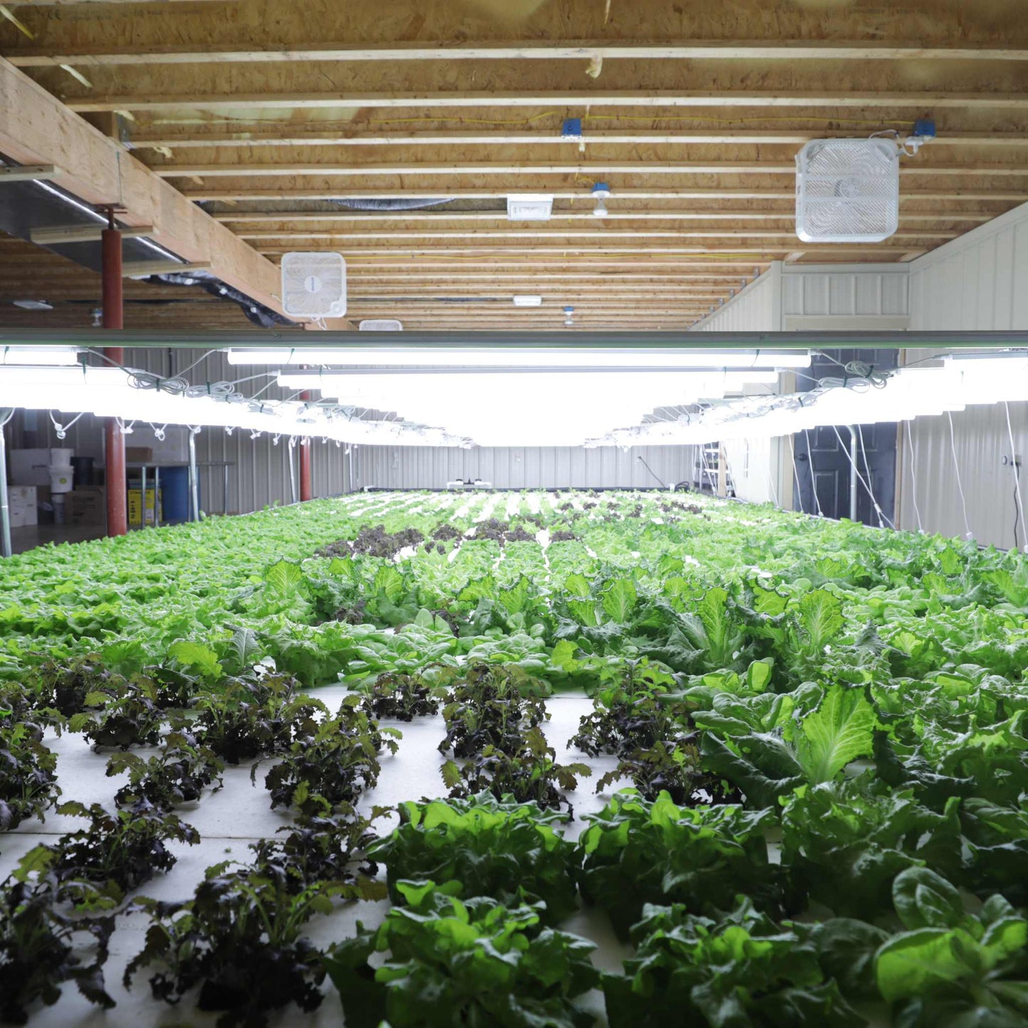 Deep Water Culture (DWC) Kit - Midwest Grow LLC