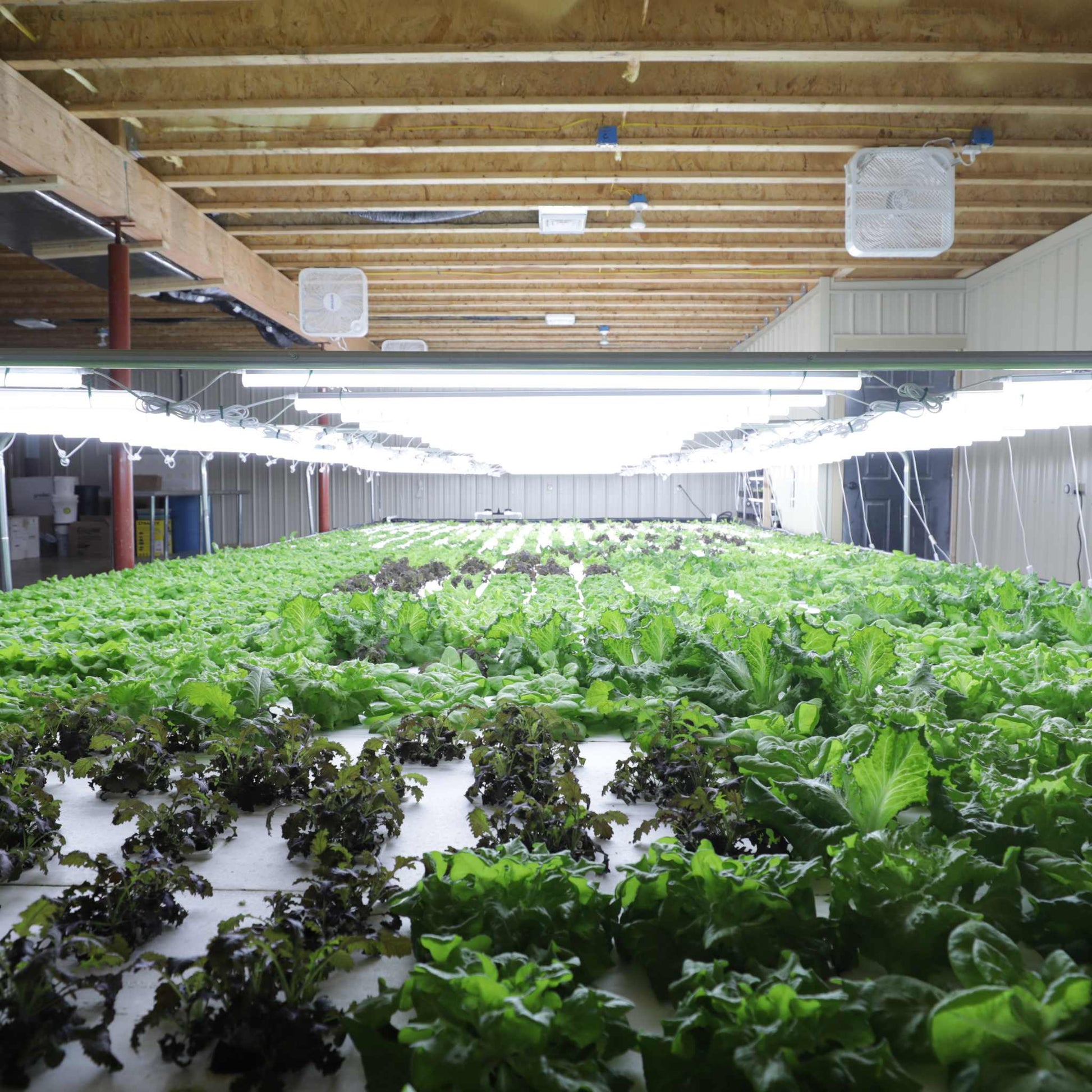 Deep Water Culture (DWC) Kit - Midwest Grow LLC