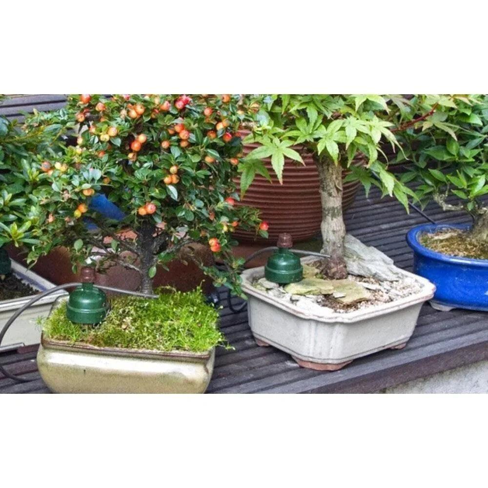 Blumat Bonsai Automatic Plant Watering Sensor - Midwest Grow LLC
