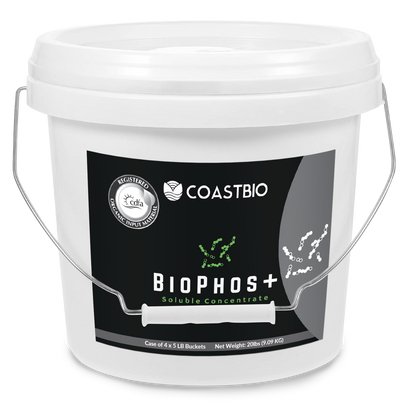 BioPhos+