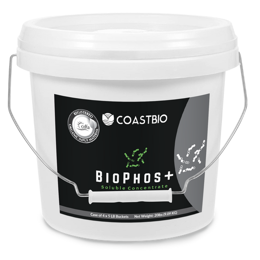 BioPhos+