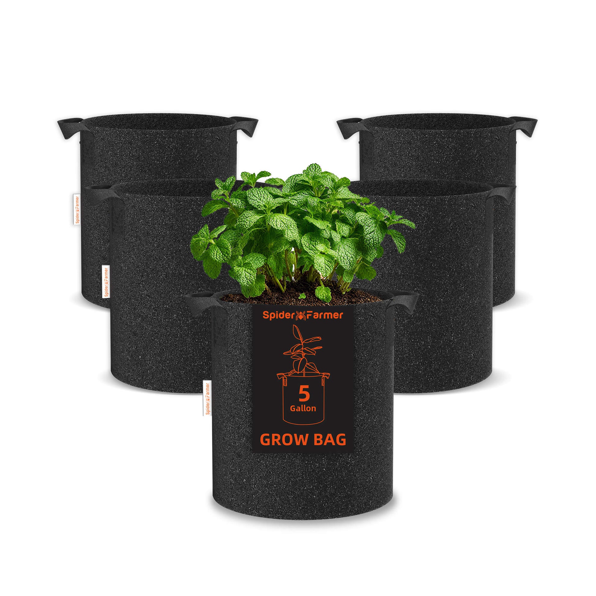 Spider Farmer 5 Gallon 300G Thickened Nonwoven Fabric Grow Bag with Handles - 5-Pack - Midwest Grow LLC