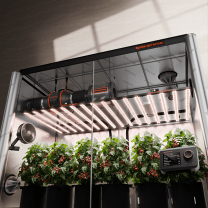 Spider Farmer G1000W x 2 LED Grow Lights + 5' x 10' Grow Tent + 6" Inline Fan Combo with Temperature and Humidity Controller + 6" Clip Fan - Midwest Grow LLC