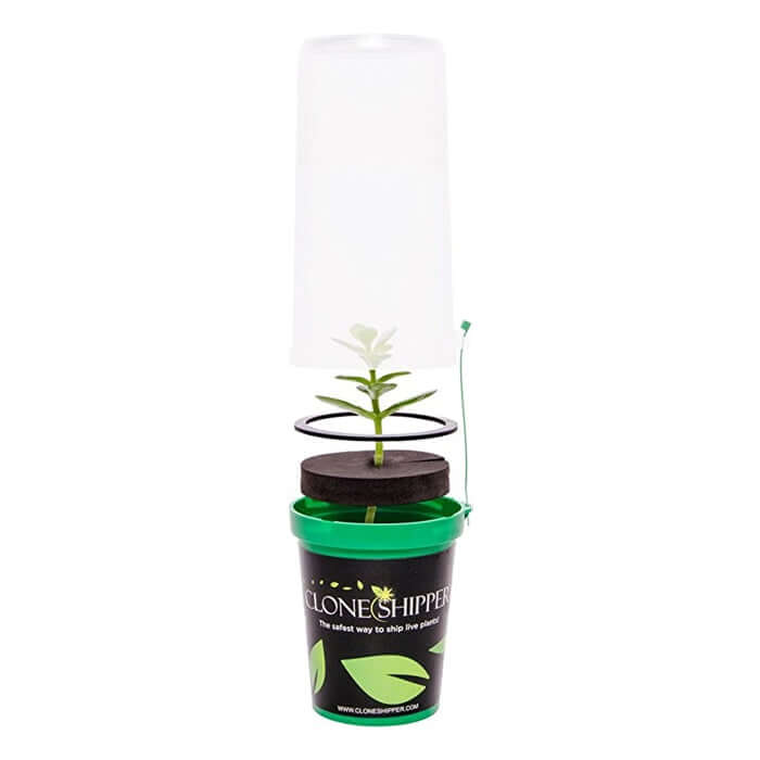 Clone Shipper Plant Packaging - Midwest Grow LLC