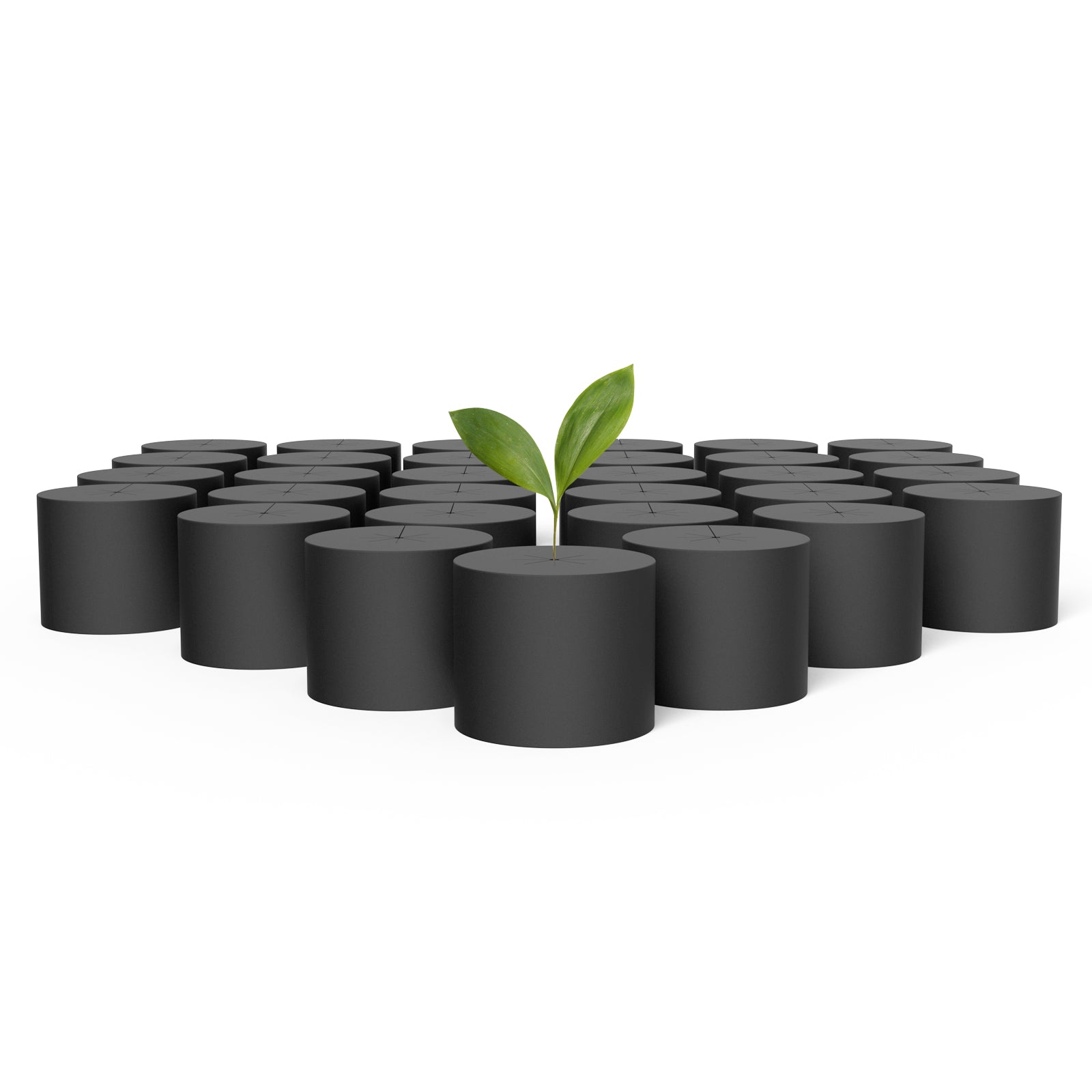 AC Infinity Clone Collars, Disc Inserts with 8-Spoke Design, 3-Inch, 50-Pack - Midwest Grow LLC