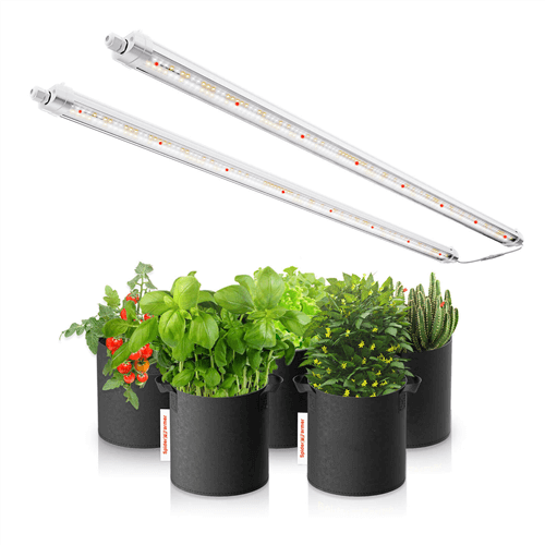 Spider Farmer Glow80 80W Full Spectrum LED Grow Light - Midwest Grow LLC