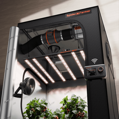 Spider Farmer G5000 LED Grow Light + 4' x 4' Grow Tent + 6" Inline Fan Combo with Temperature and Humidity Controller + 6" Clip Fan - Midwest Grow LLC