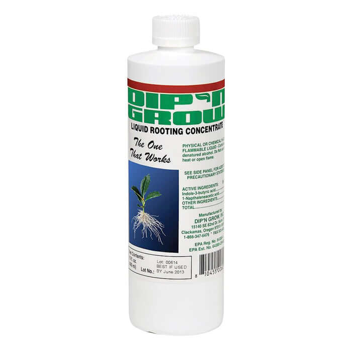 Dip'N Grow Liquid Rooting Concentrate - 16oz - Midwest Grow LLC