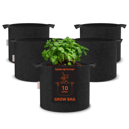 Spider Farmer 11 Gallon 300G Thickened Nonwover Fabric Grow Bag with Handles - 5-Pack - Midwest Grow LLC