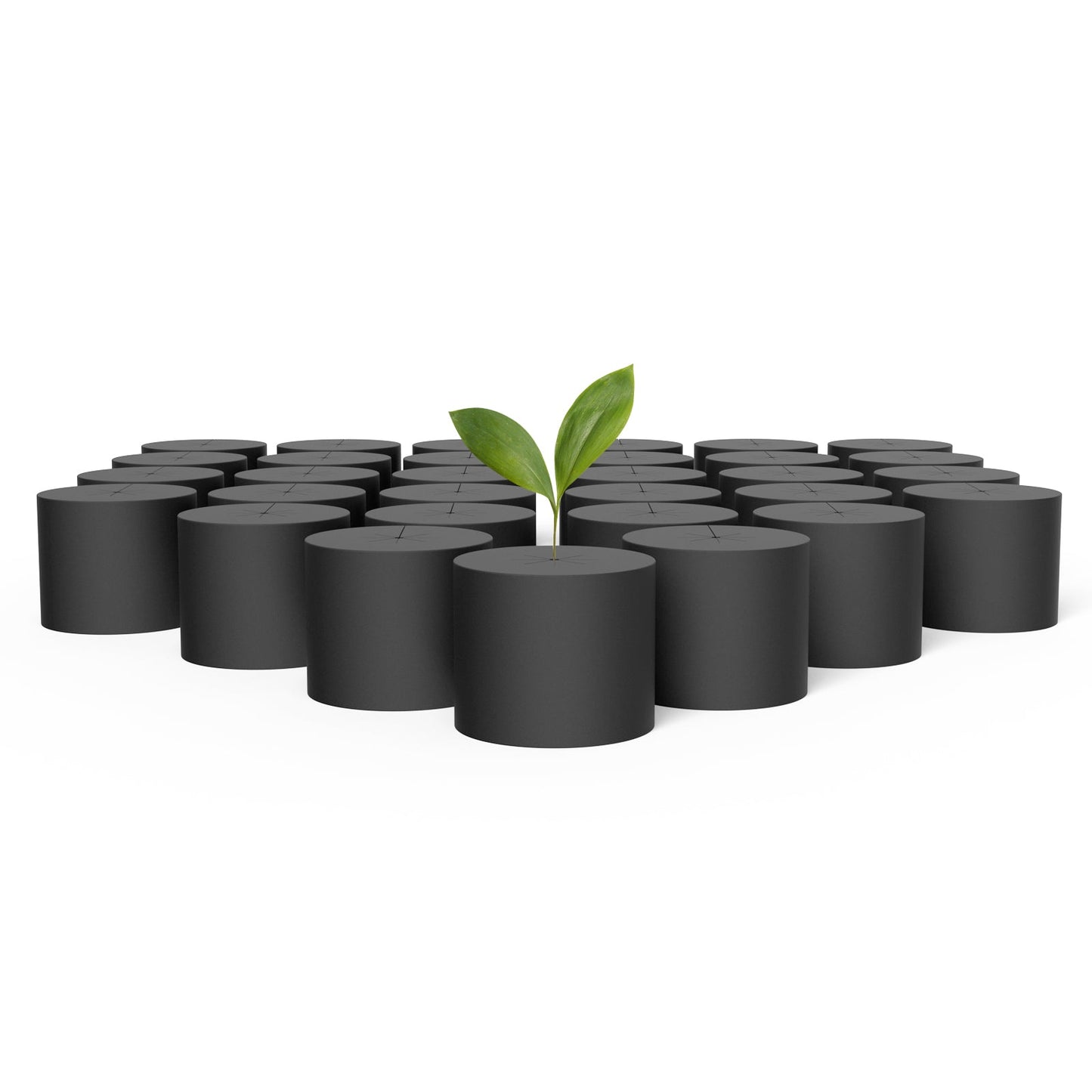 AC Infinity Clone Collars, Disc Inserts with 8-Spoke Design, 2-Inch, 100-Pack - Midwest Grow LLC