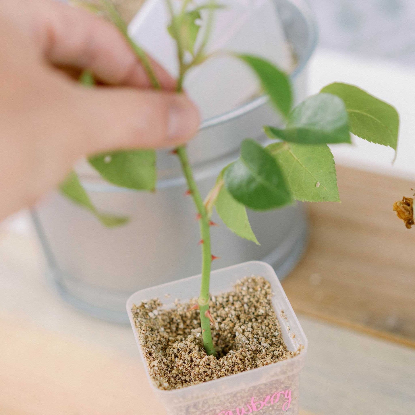 Seed Starter Pots - 2.5" Extra Strength - Midwest Grow LLC