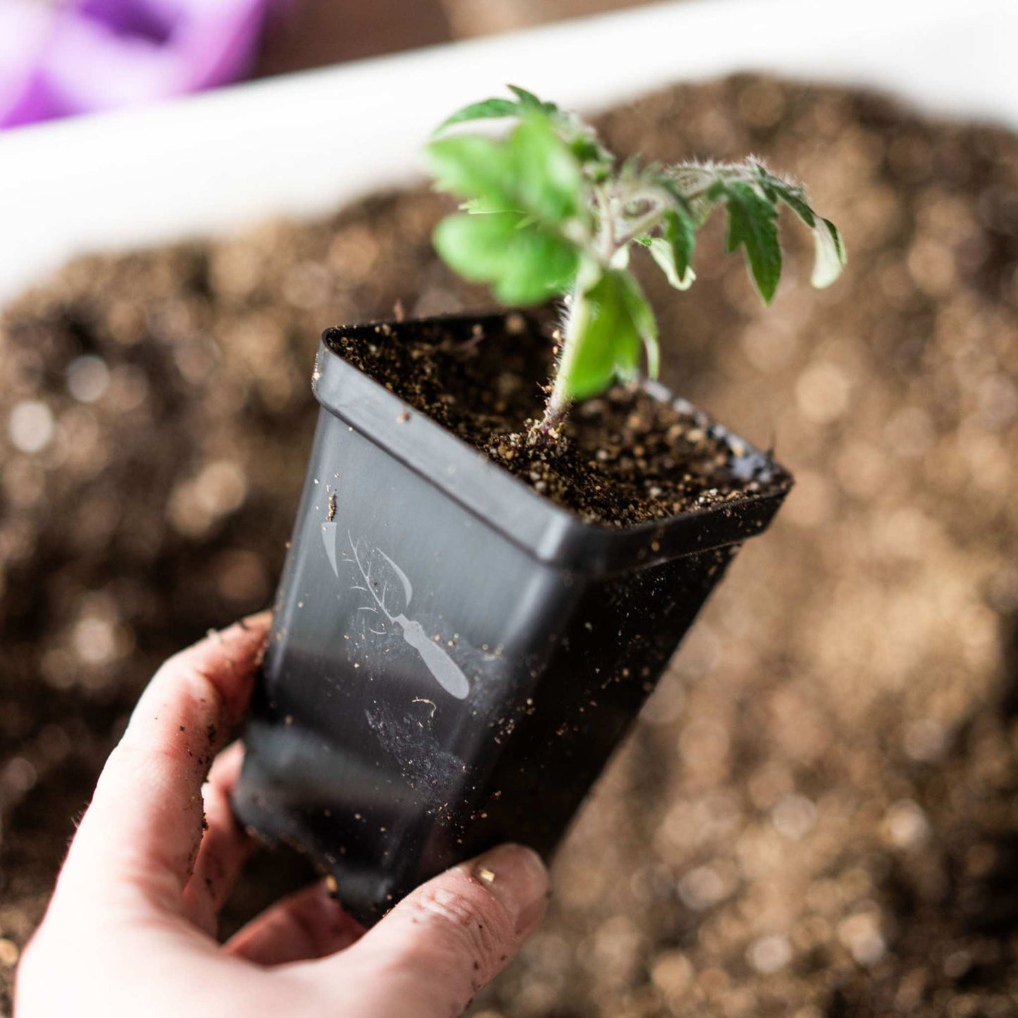 Seed Starter Pots - 2.5" Extra Strength - Midwest Grow LLC