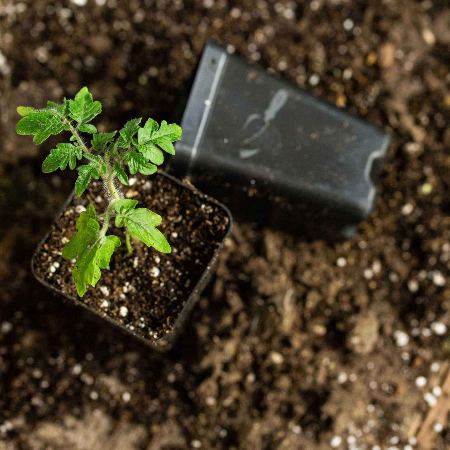 32-Cell Reusable Plant Starter Trays with Inserts - Midwest Grow LLC