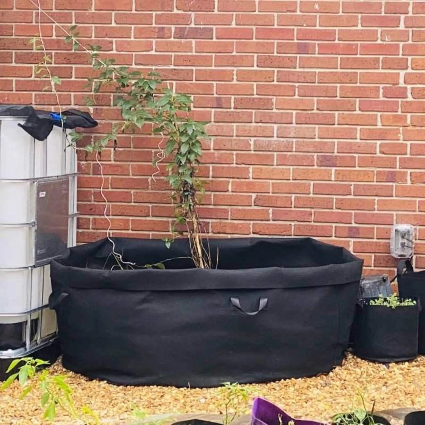 Grow Bags - 200 Gallon - Midwest Grow LLC