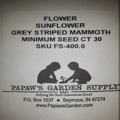 Mammoth Grey Striped Sunflower Seeds