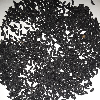 Herb, Garlic Chive Seeds
