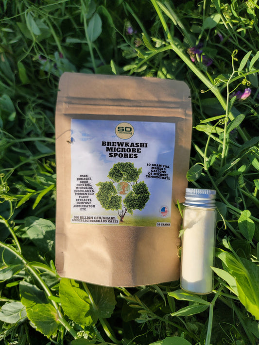 BrewKashi Spore: Lactobacillus Casei - Midwest Grow LLC