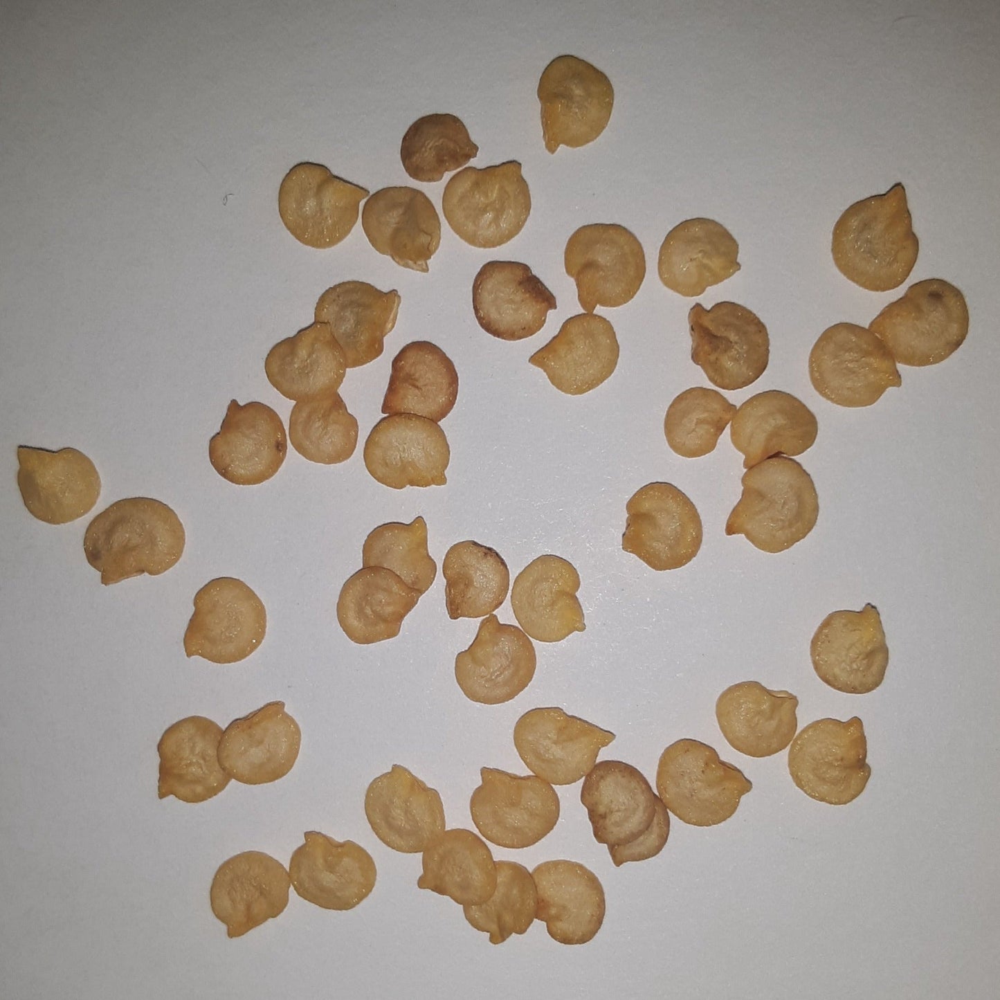 Sweet Sunrise Hybrid Yellow-Orange Bell Pepper Seeds