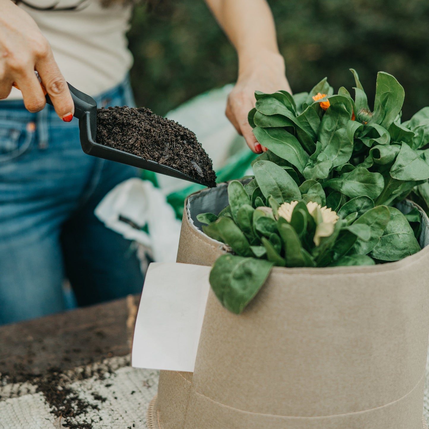 Living Soil Fabric Pot