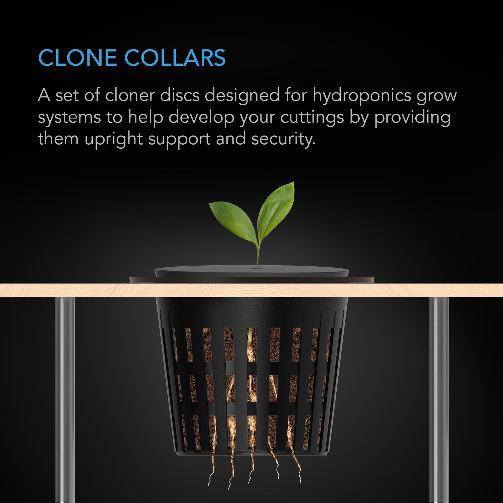 AC Infinity Clone Collars, Disc Inserts with 8-Spoke Design, 2-Inch, 100-Pack - Midwest Grow LLC