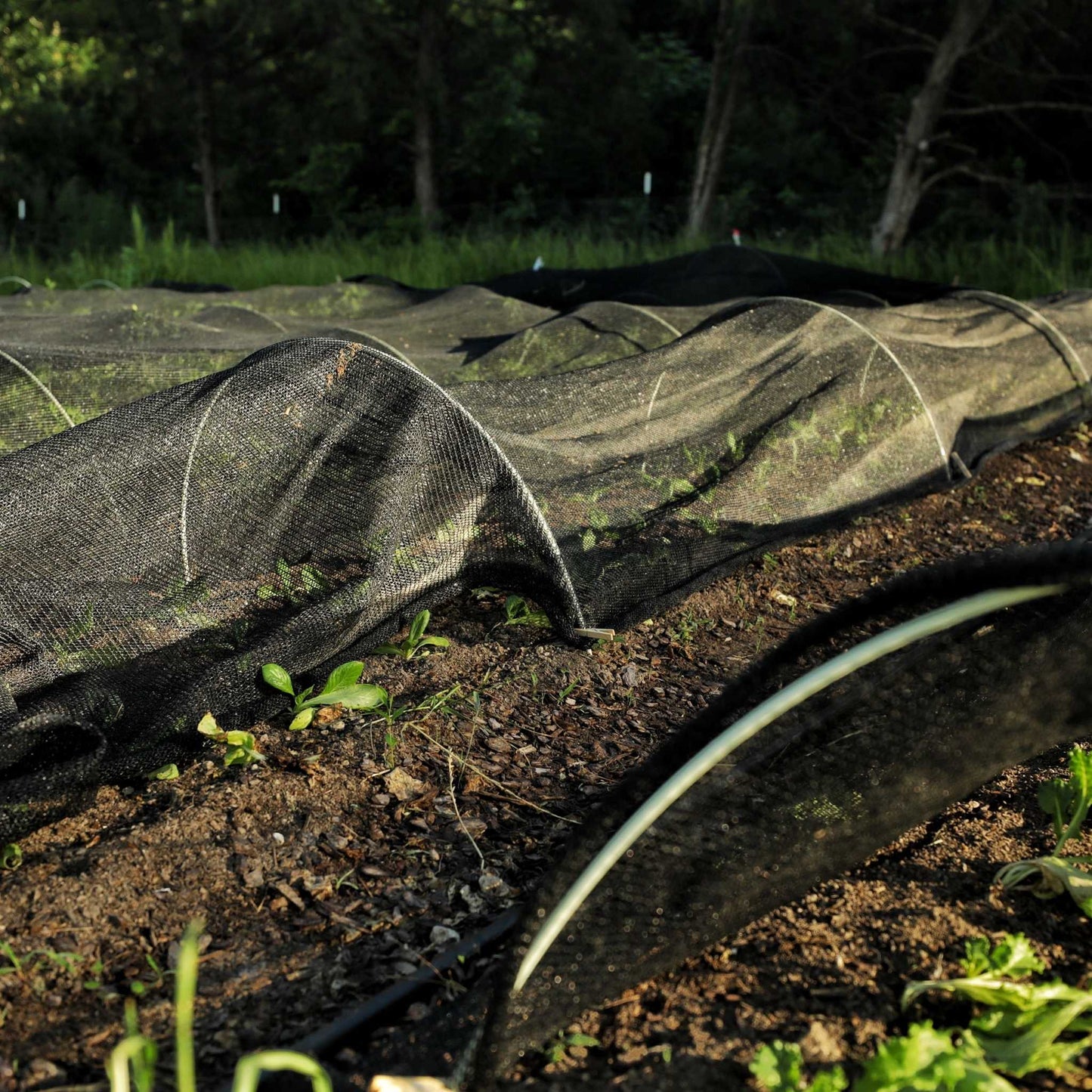 Greenhouse Shade Cloth - 50% Black - Midwest Grow LLC