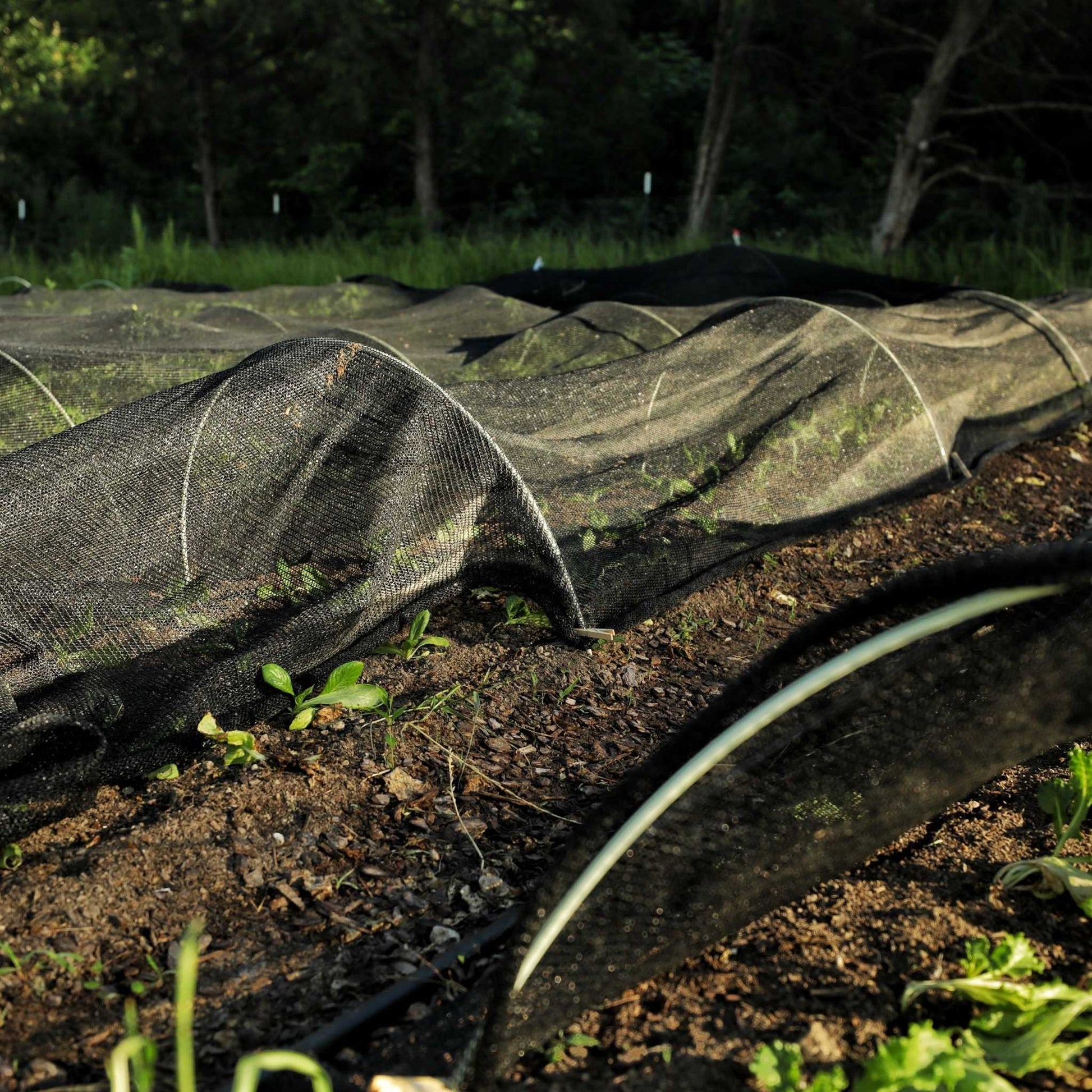 Greenhouse Shade Cloth - 50% Black - Midwest Grow LLC