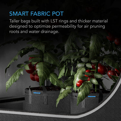AC Infinity Heavy Duty Fabric Pots, 3 Gallon, 5-Pack - Midwest Grow LLC
