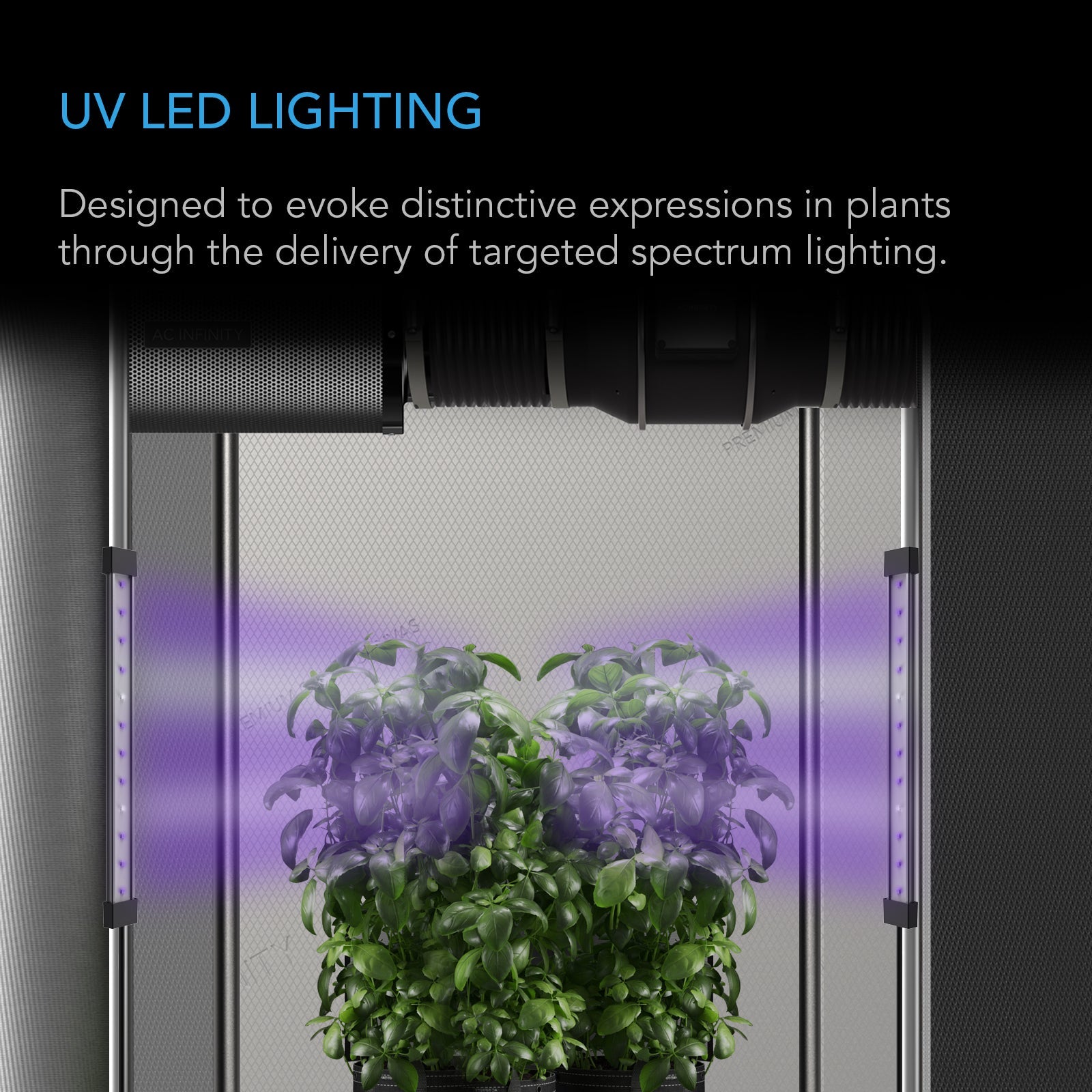 AC Infinity IONBEAM U2, Targeted Spectrum UV LED Grow Light Bars, 2-Bar Kit, 11-Inch - Midwest Grow LLC
