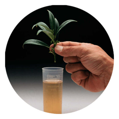 Dip'N Grow Liquid Rooting Concentrate - 16oz - Midwest Grow LLC