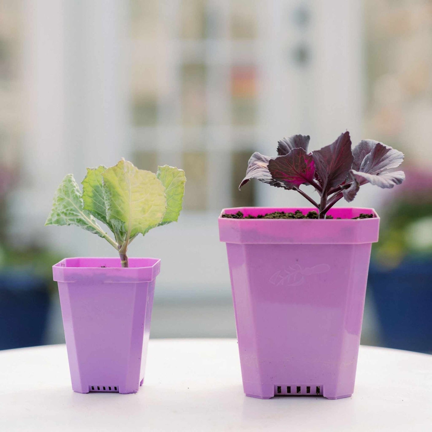 3.3" Heavy Duty Seed Starting Pots - Midwest Grow LLC