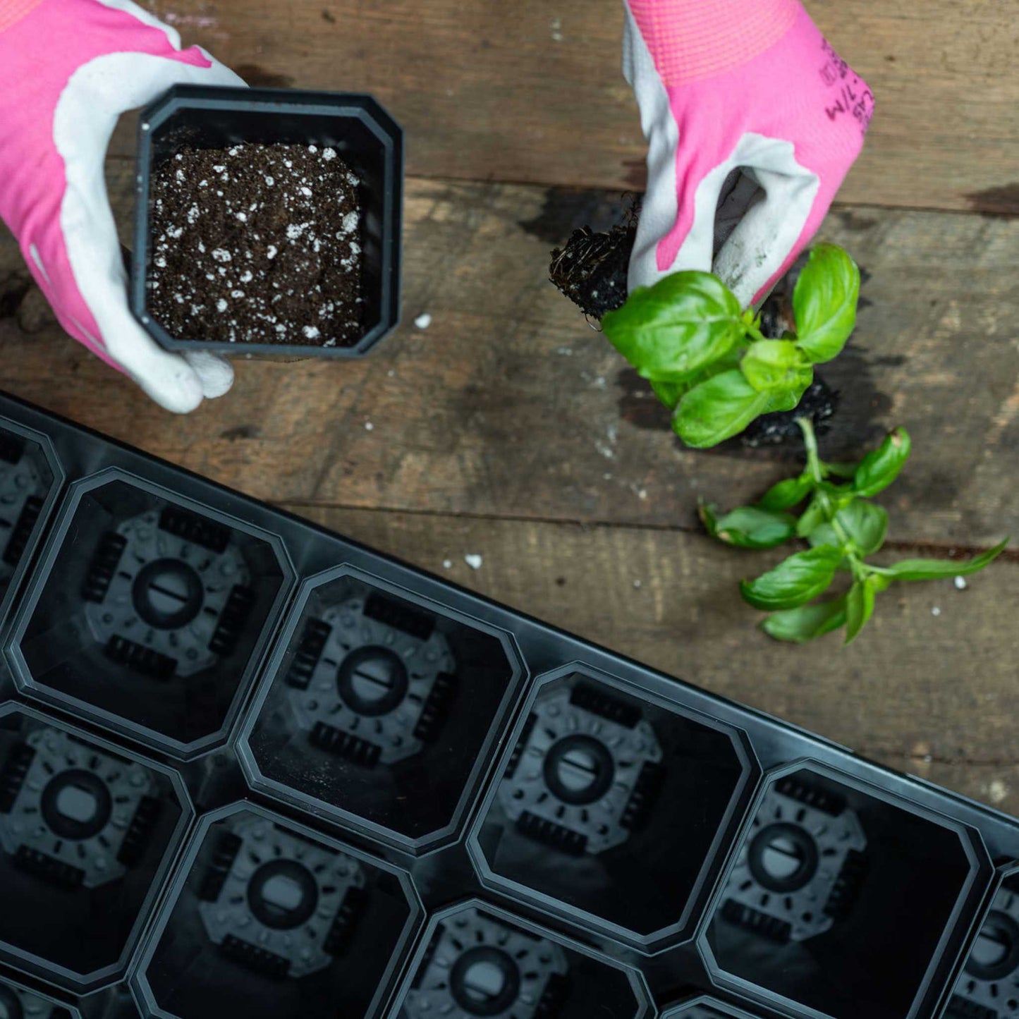 3.3" Heavy Duty Seed Starting Pots - Midwest Grow LLC