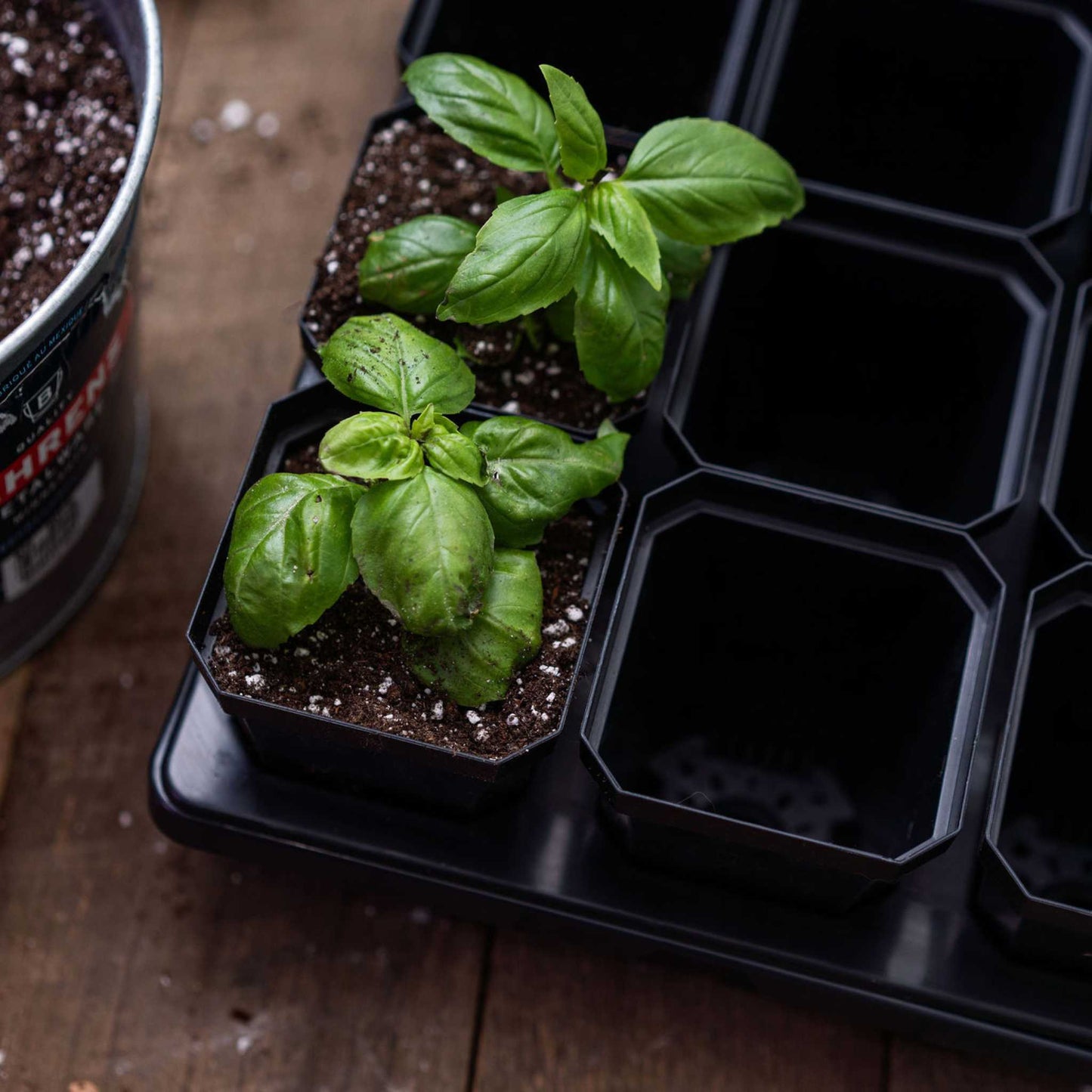 3.3" Heavy Duty Seed Starting Pots - Midwest Grow LLC