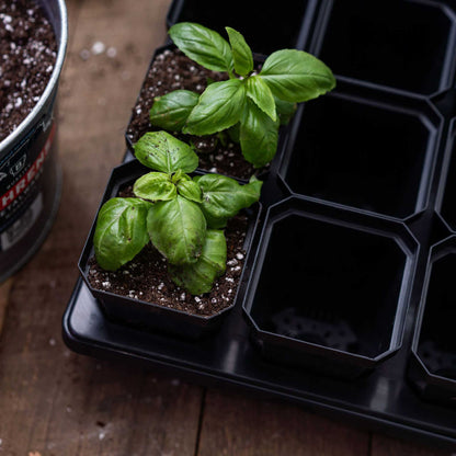 3.3" Heavy Duty Seed Starting Pots - Midwest Grow LLC