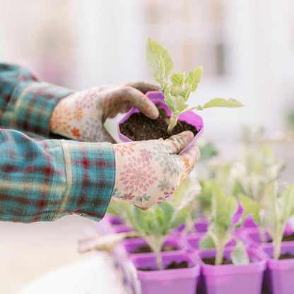 3.3" Heavy Duty Seed Starting Pots with Inserts - Midwest Grow LLC