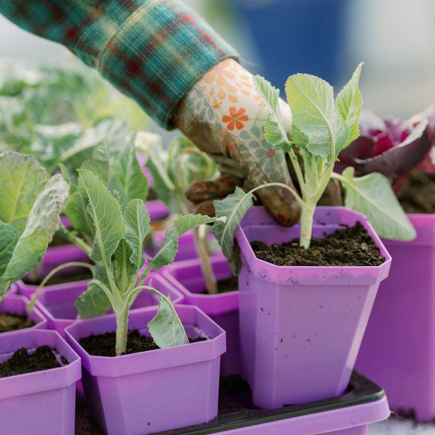 3.3" Heavy Duty Seed Starting Pots with Inserts - Midwest Grow LLC