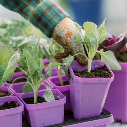 3.3" Heavy Duty Seed Starting Pots with Inserts - Midwest Grow LLC