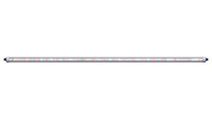 Grand Master LEDs Tarantula Reproduction Bar 18W LED Grow Light - Midwest Grow LLC