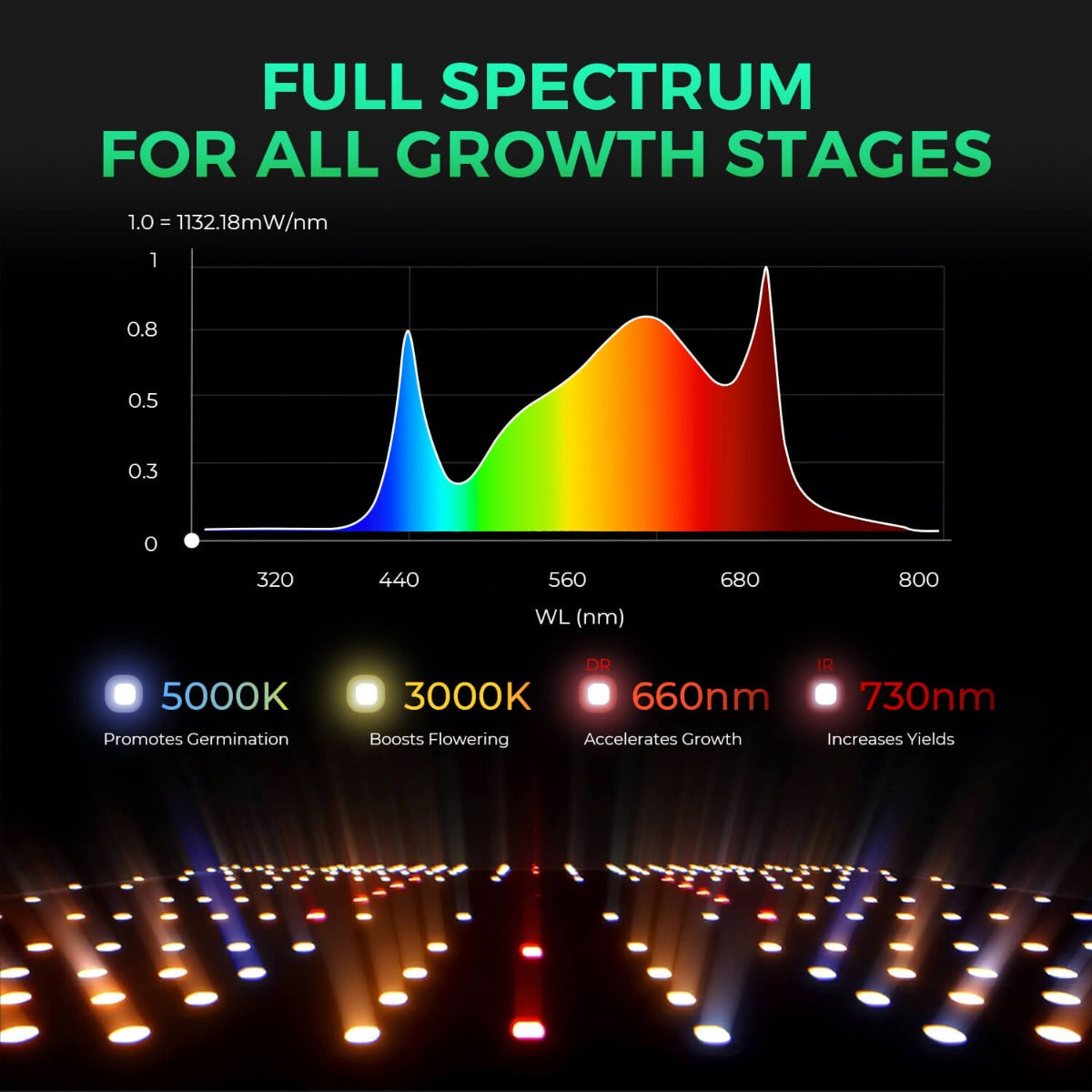 Mars Hydro SP 3000 300W Full Spectrum Grow Room LED Grow Light - Midwest Grow LLC