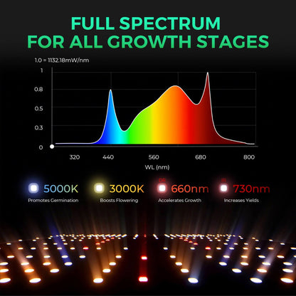 Mars Hydro SP 3000 300W Full Spectrum Grow Room LED Grow Light - Midwest Grow LLC
