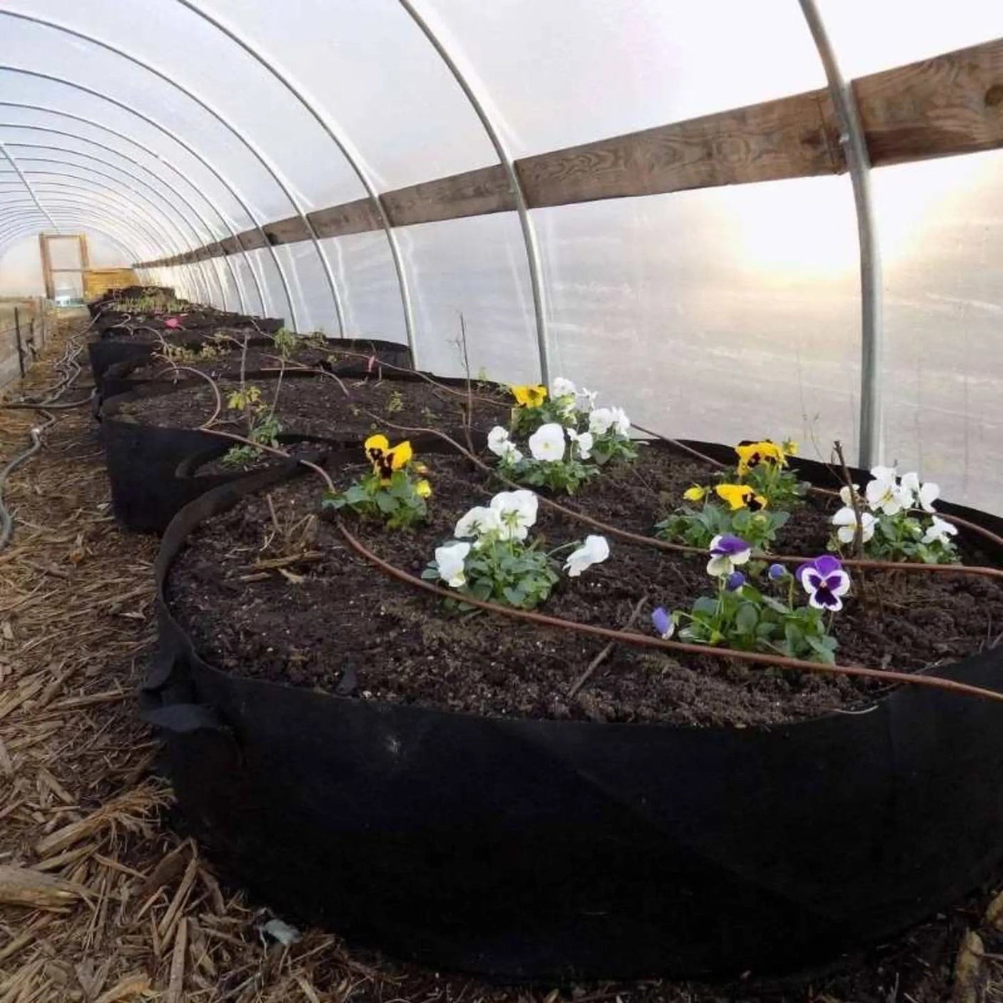Grow Bags - 100 Gallon - Midwest Grow LLC