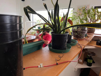 Blumat Classic Vacation Irrigation Watering Kit - Midwest Grow LLC