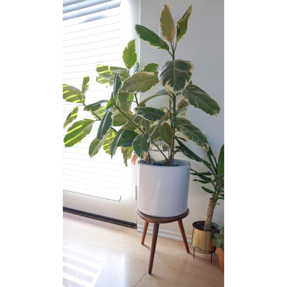 Blumat Glass Plant Self Watering Globes - Midwest Grow LLC