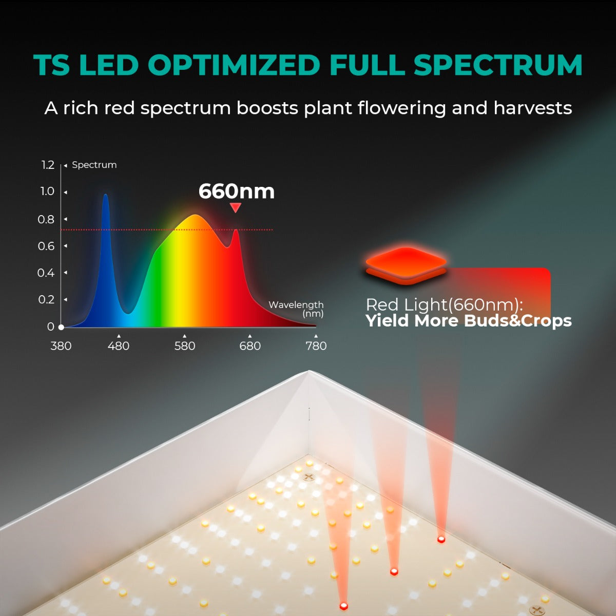 Mars Hydro TS 1000 LED Grow Light + 2.3' x 2.3' Grow Tent + Inline Fan Combo with Speed Controller - Midwest Grow LLC